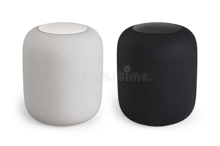 Smart Speakers with Voice Assistants: More Than Just Playing Music